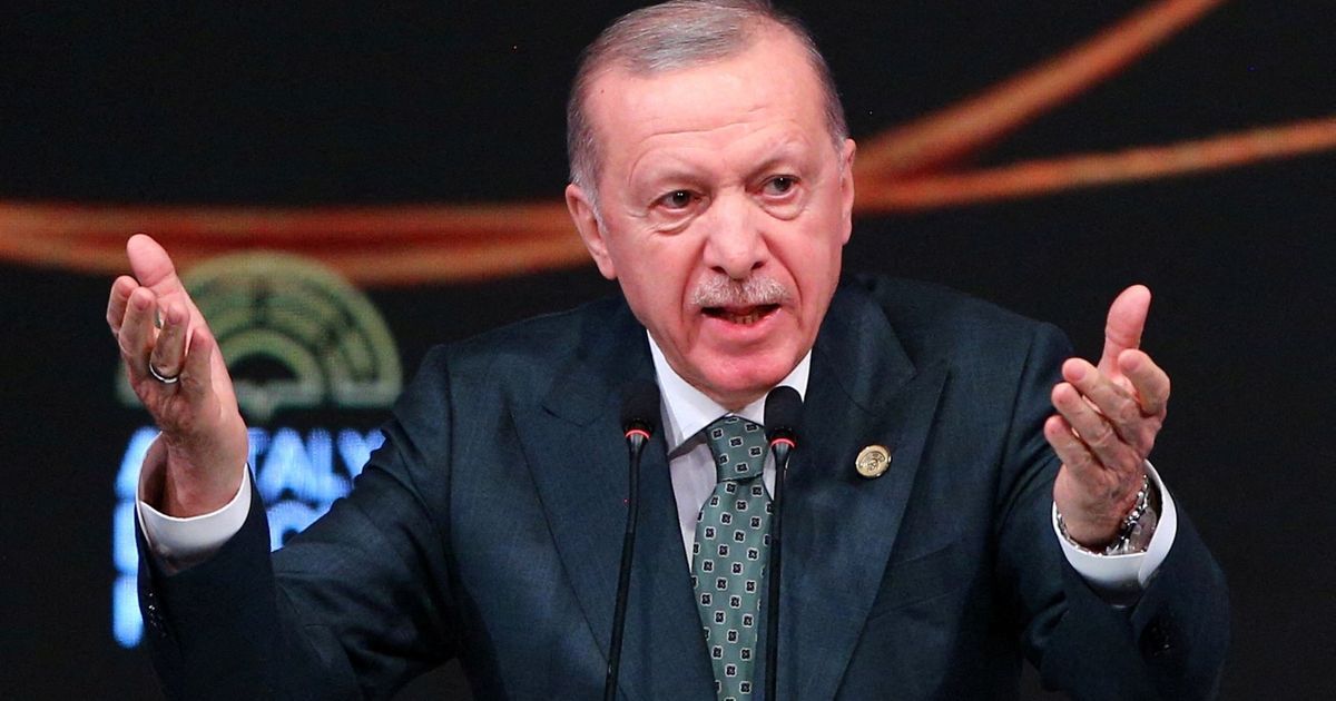 أردوغان يكلف خبراء بإعداد دستور جديد.. والمعارضة تشكك في نواياه