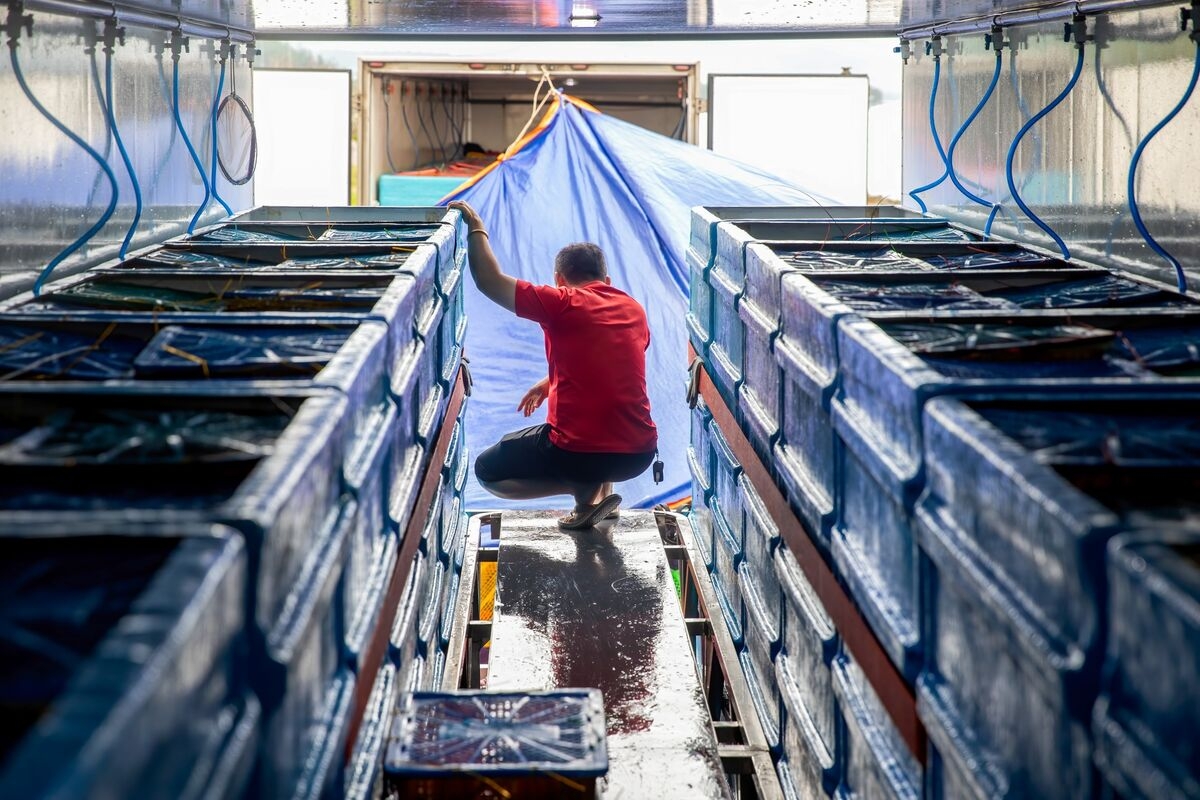 Tariffs Drag AMRO Asia Growth Outlook to Weakest Since Covid