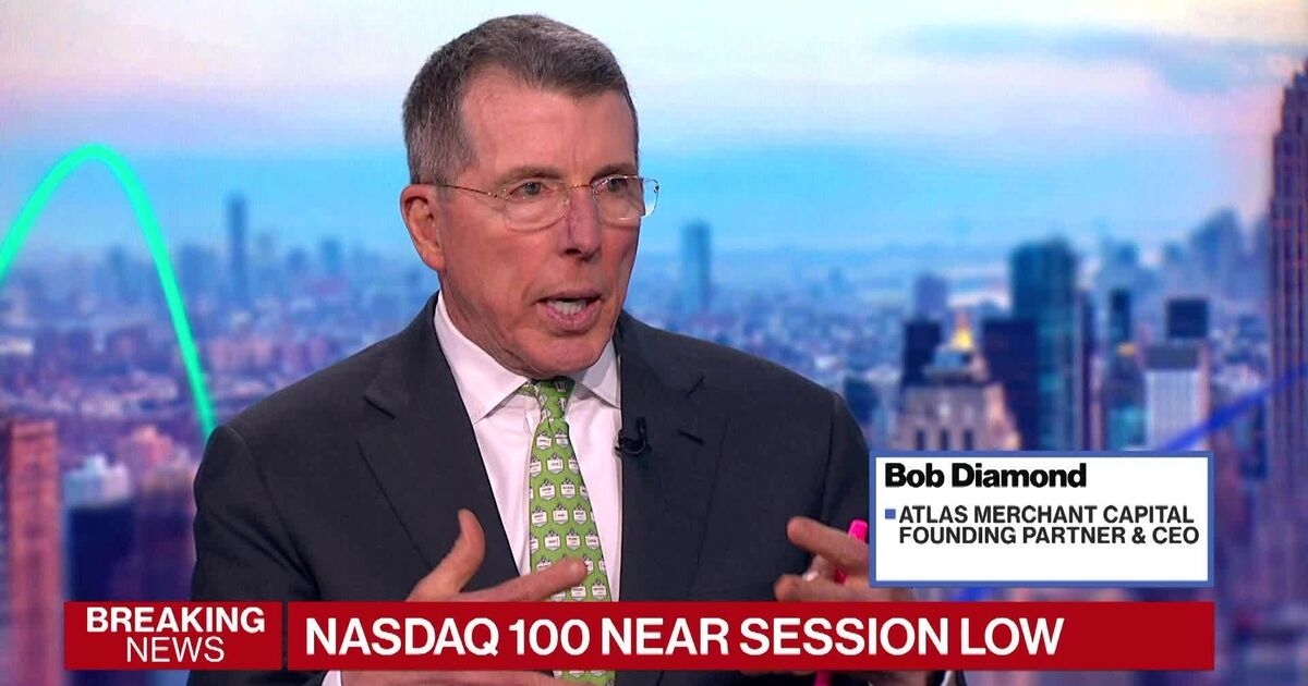 Diamond Says AI Trade Isn't Going Away