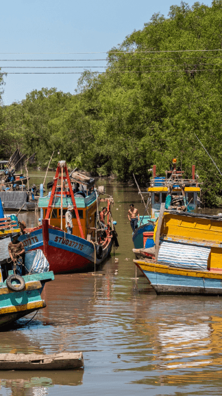 The Mekong River's Tragic Makeover