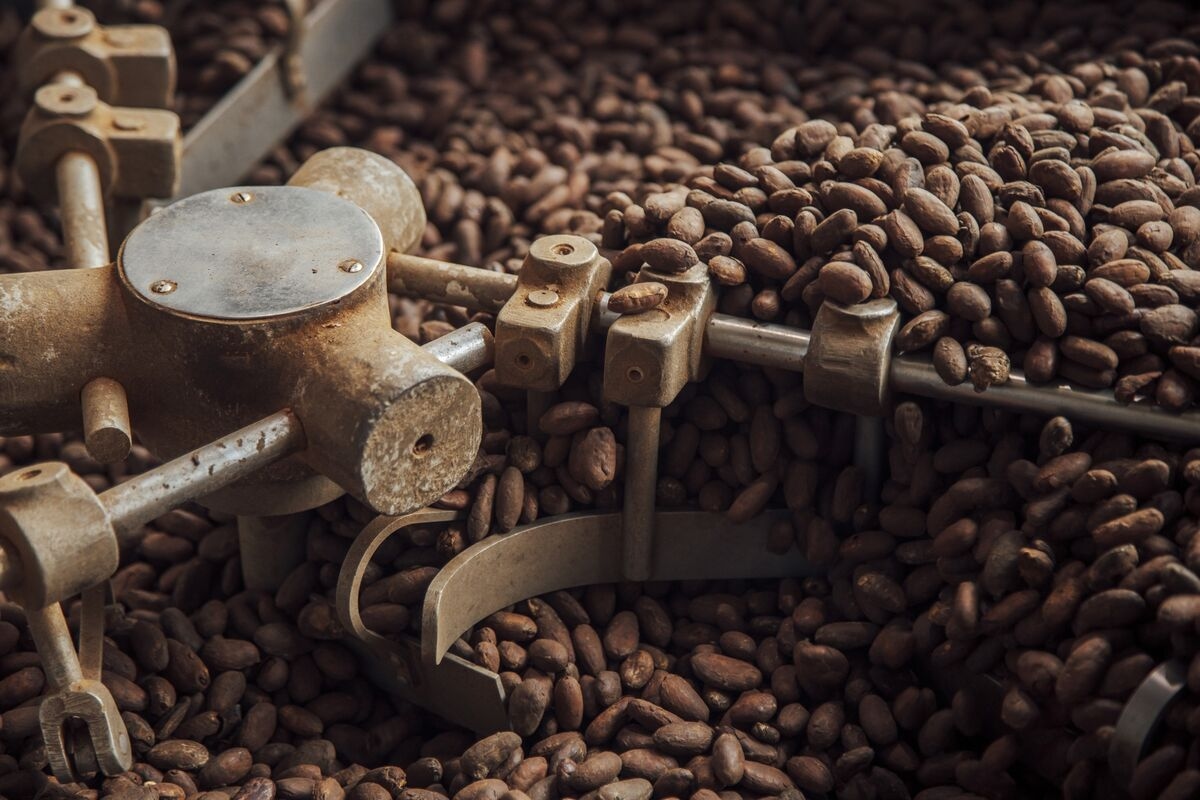 M&M's Maker Turns to Gene Editing in Bid to Secure Cocoa Supply