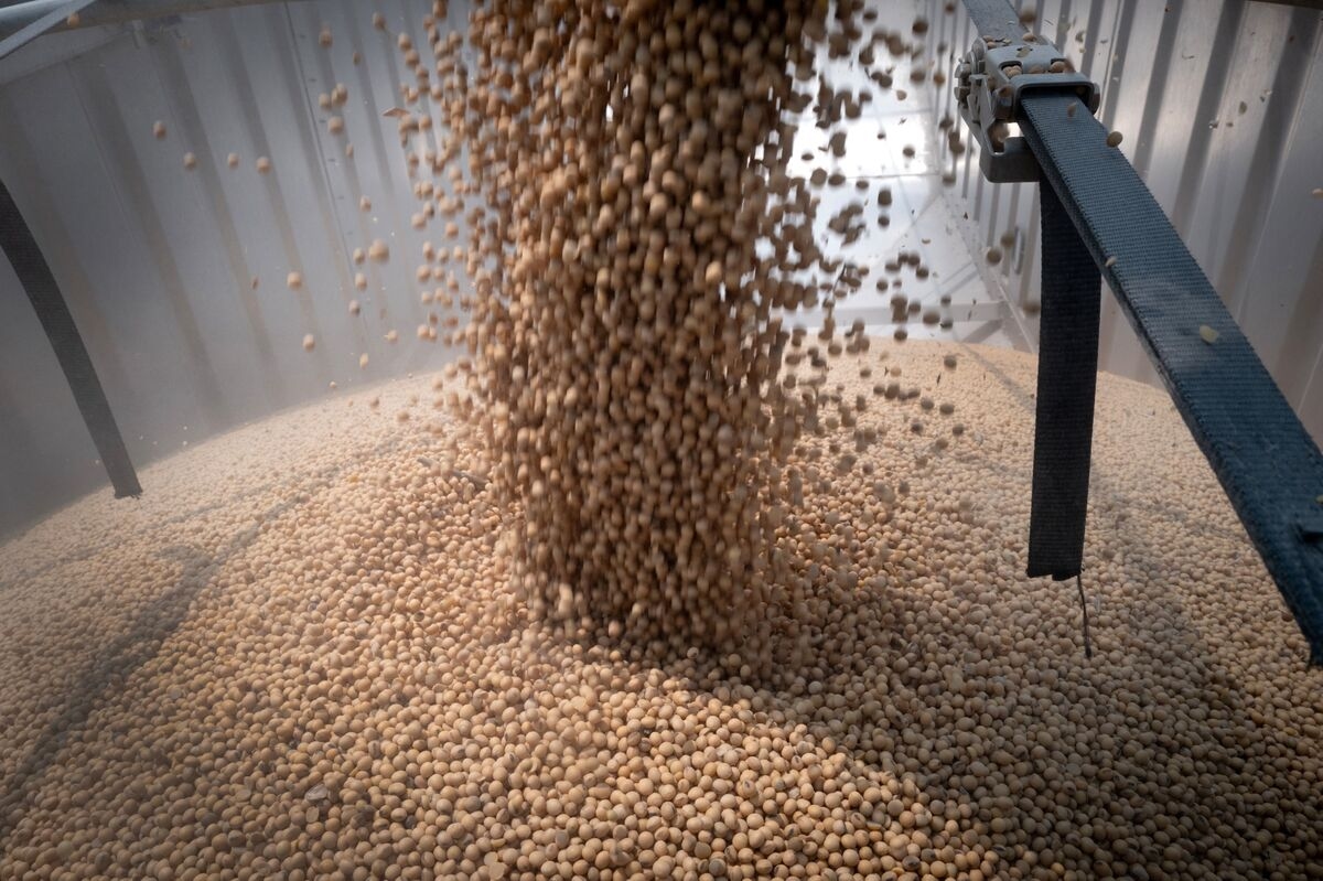 Crop Trader ADM Cuts Outlook as Trade Uncertainty Persists