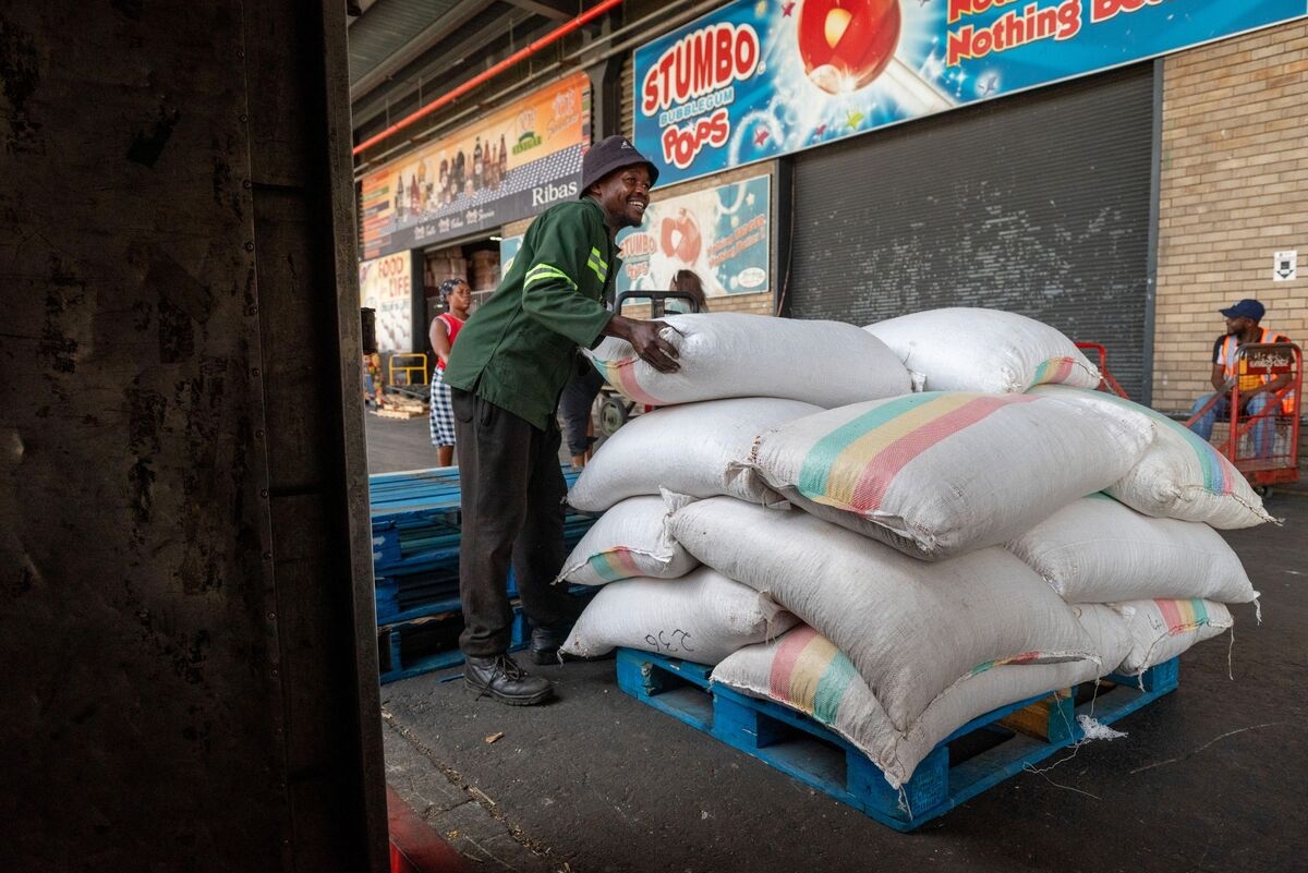 Most South African Small Firms at Risk of Collapse, Survey Finds