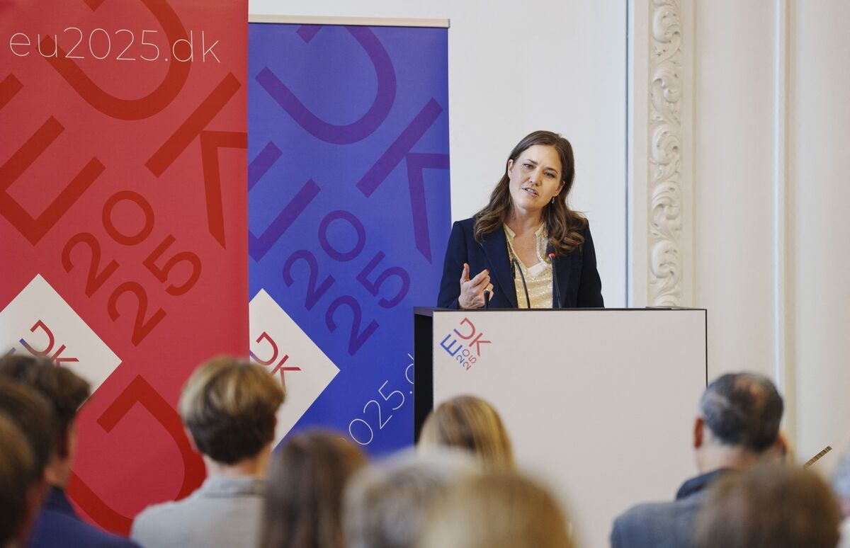 Denmark to Push Tougher EU Immigration Rules During Presidency