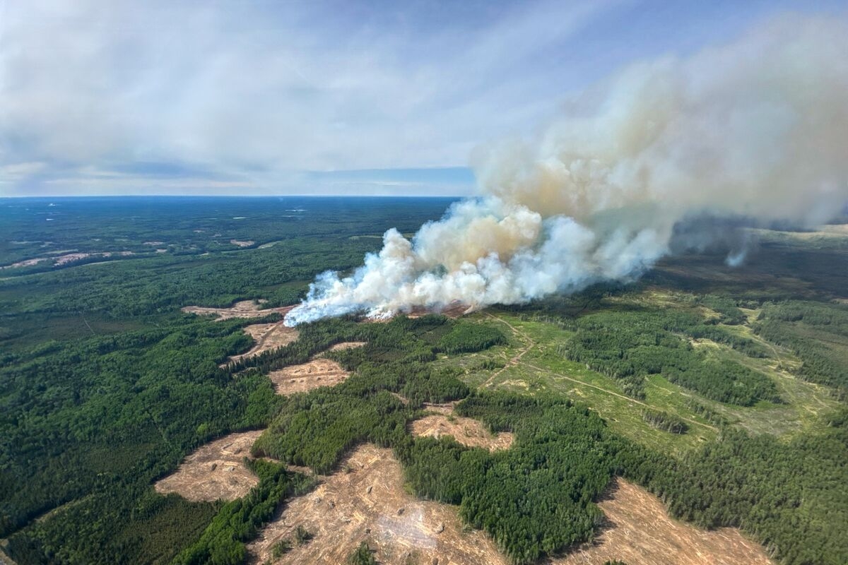 Hedge Funds Hike Bullish Oil Bets Amid Canada Wildfire Risk