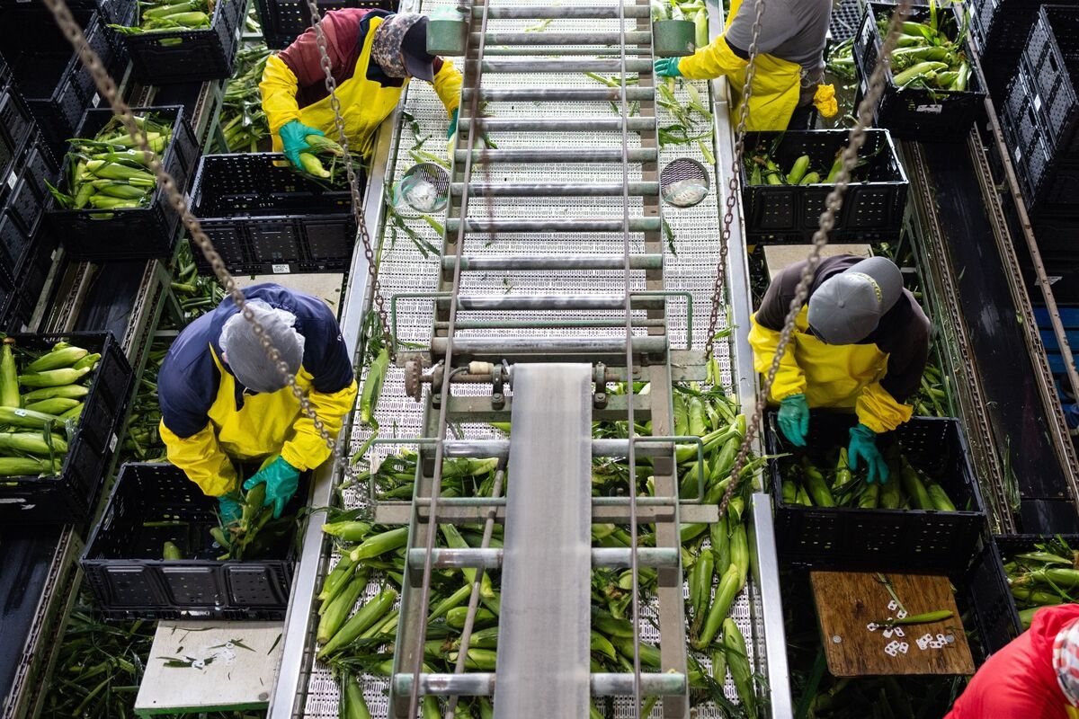 Charting the Global Economy: US Job Market Wavers in Cue for Fed