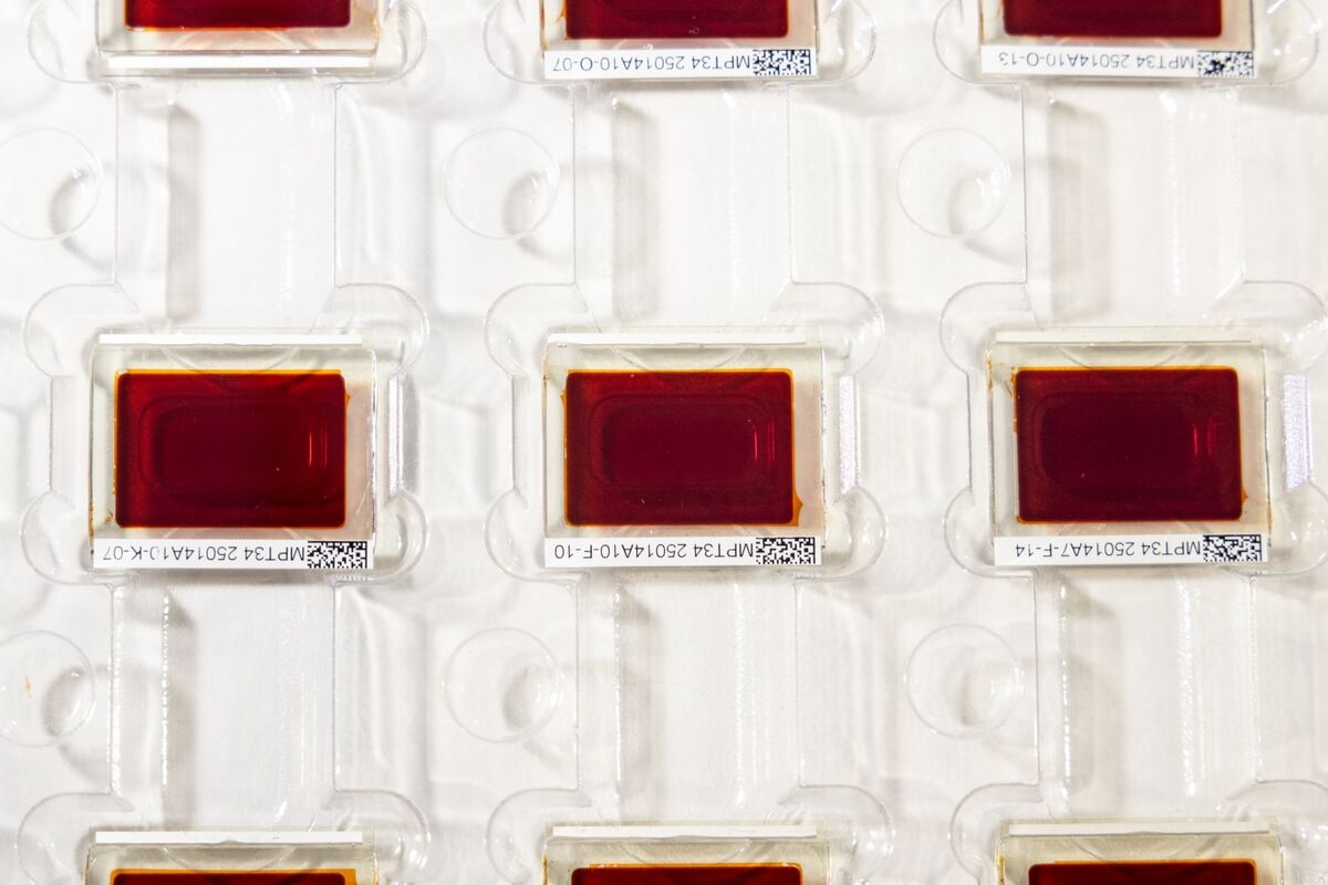 How Solar Cells Could End Up in More Everyday Items