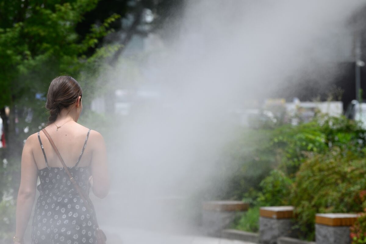 Japan Bets on Homegrown Startups to Adapt to a Hotter World