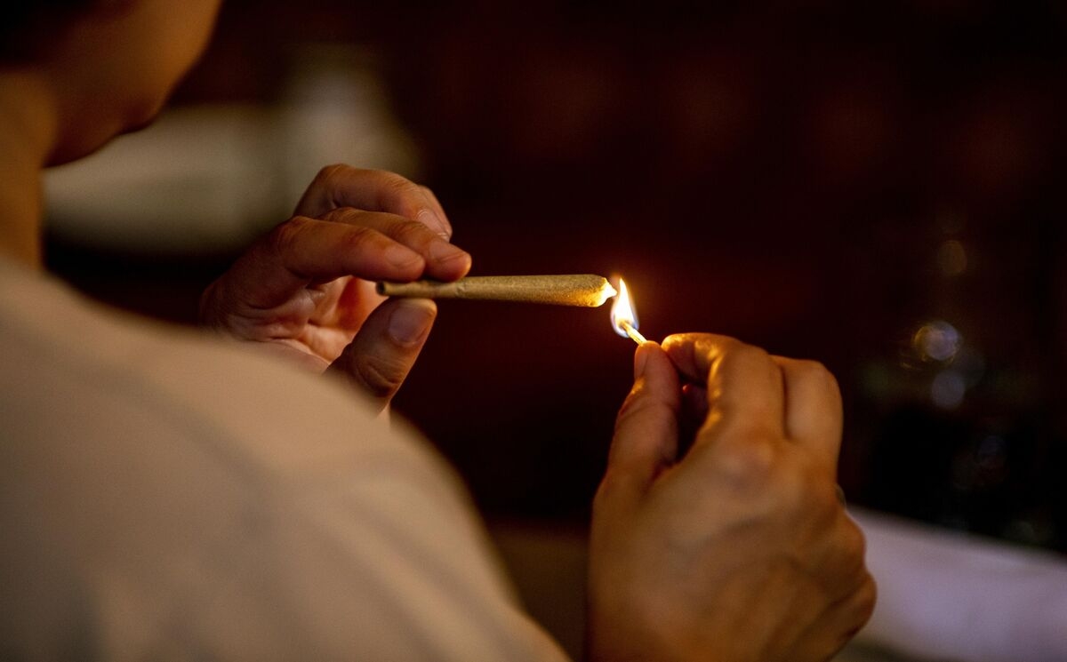 Effort to Ease Cannabis Rules Faces New Opposition From Experts