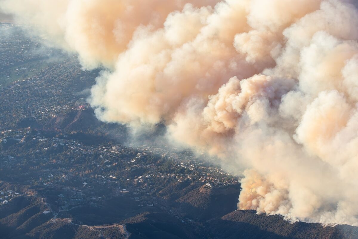 While Los Angeles Burned, Rules to Protect Homes From Wildfires Were On Hold