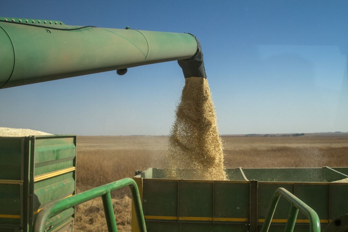 Zambia to Pay Farmers 3% More for Corn to Replenish Reserves