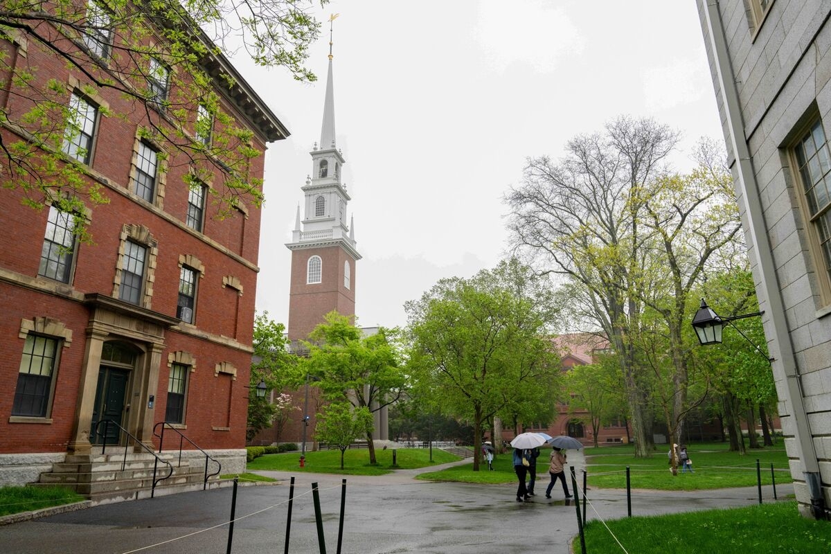 Ackman Says Entire Harvard Corporation Board Needs to Resign