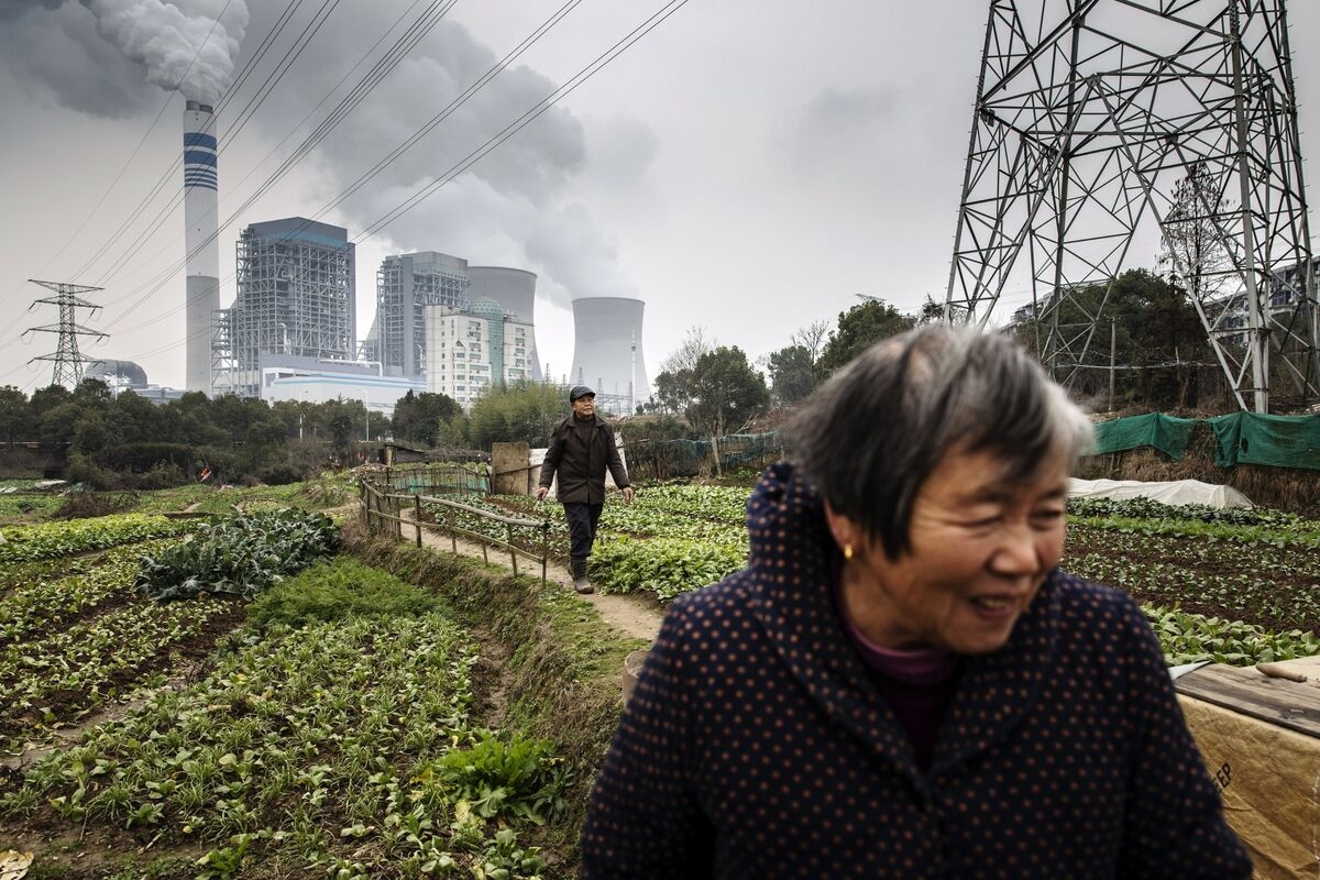 China Envoy Sees Global Climate Fight Advancing Even Without US