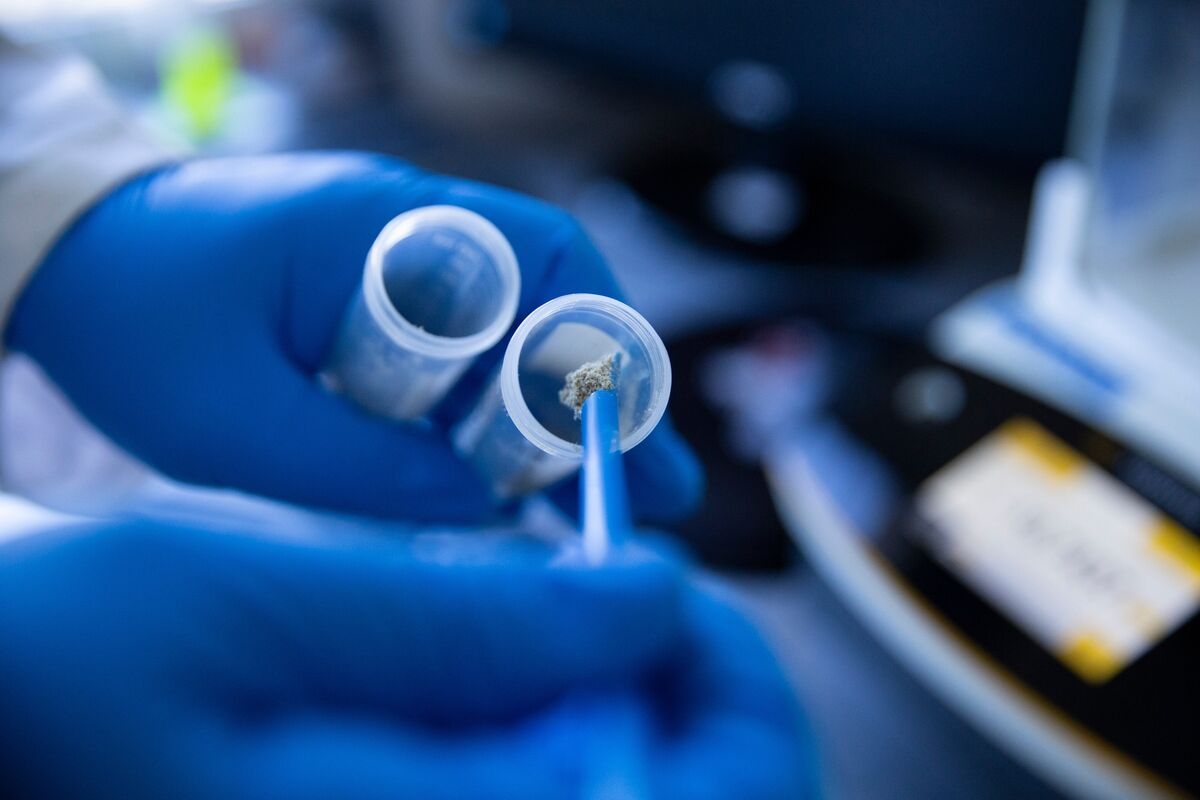 Thiel-Backed Psychedelic Drugmaker Atai to Combine With Beckley