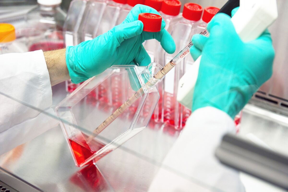 FDA Pauses Trials of Gilead HIV Combination After Safety Signal