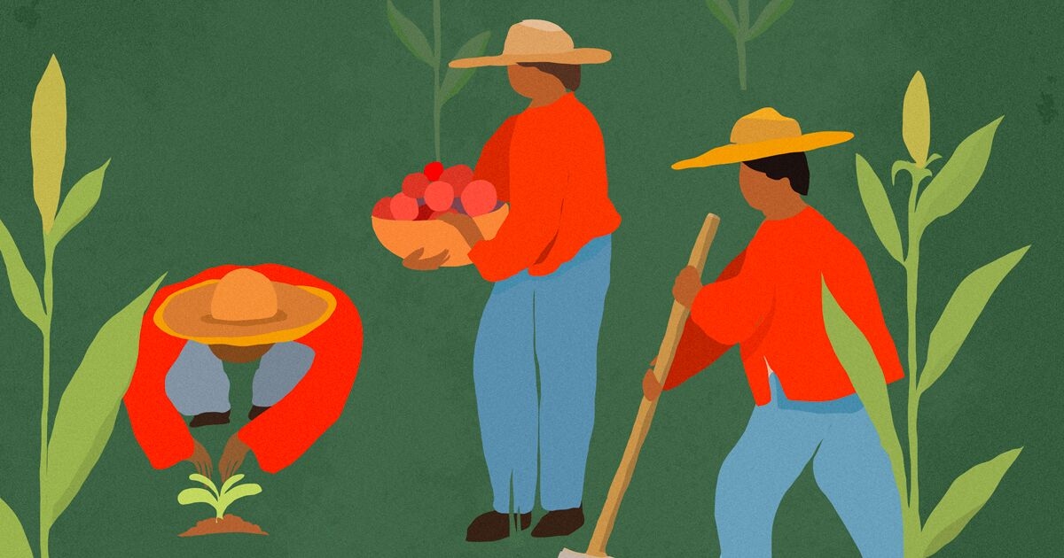 How to Get Border Patrol to Stop Making Warrantless Arrests