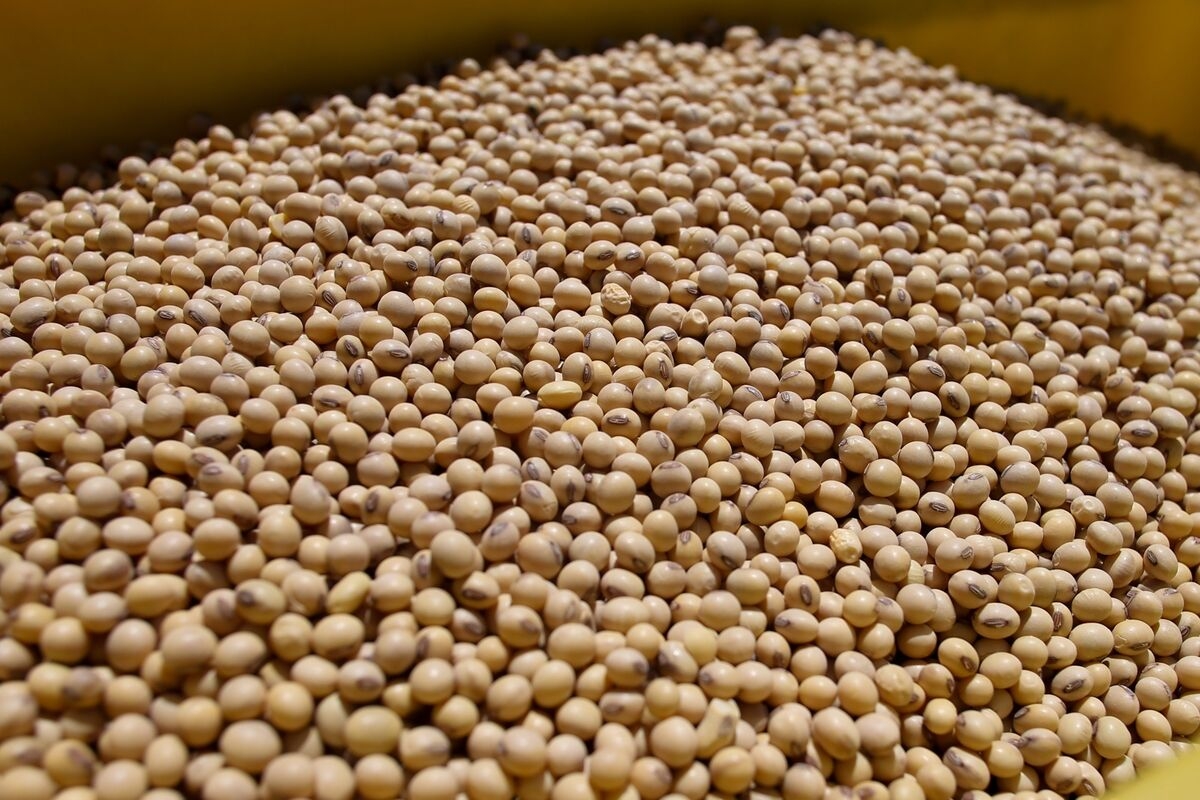 Washington's Global Hunt to Find Buyers for US Crops