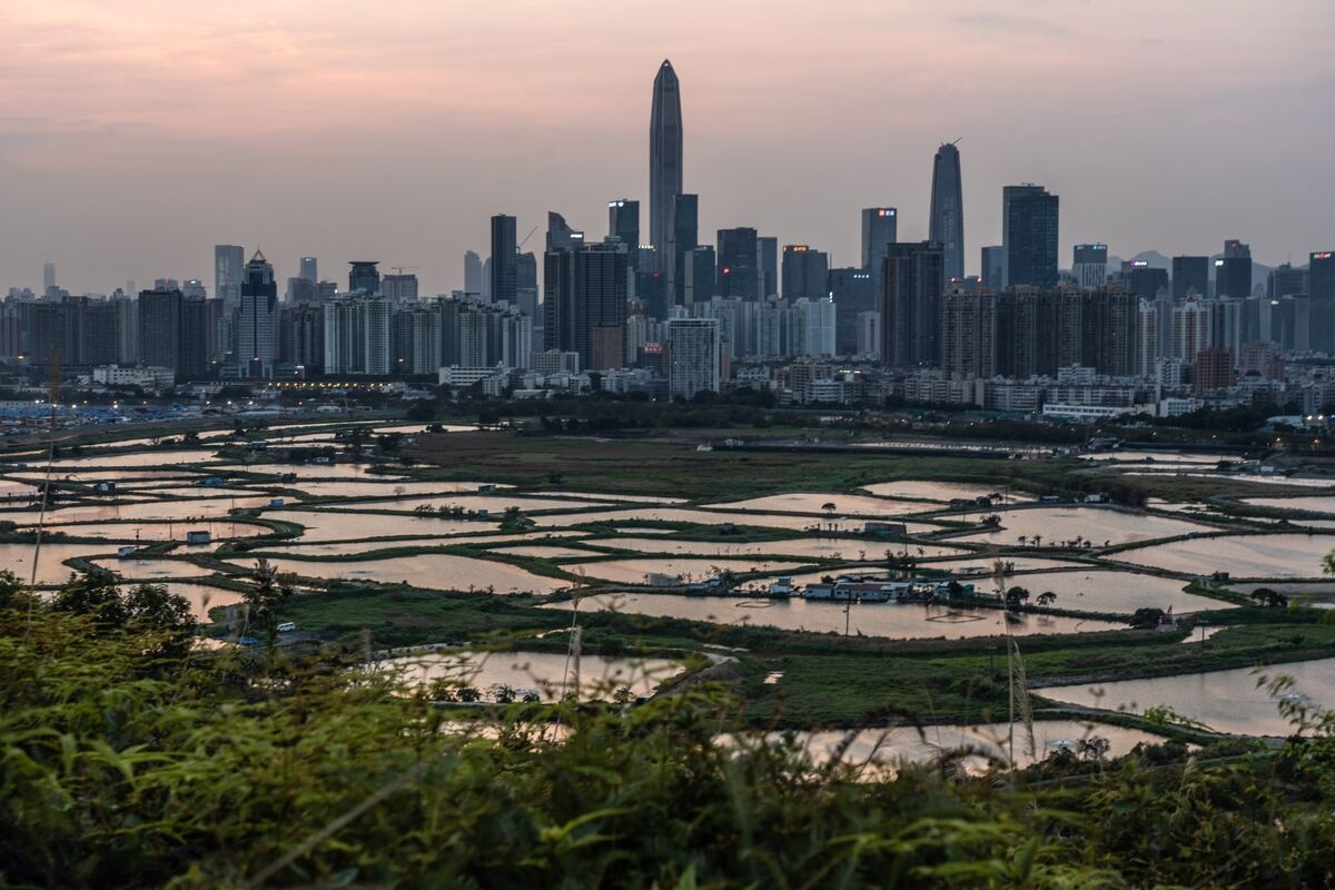 What Hong Kong's Mega Rail Projects Mean for Shenzhen Trips