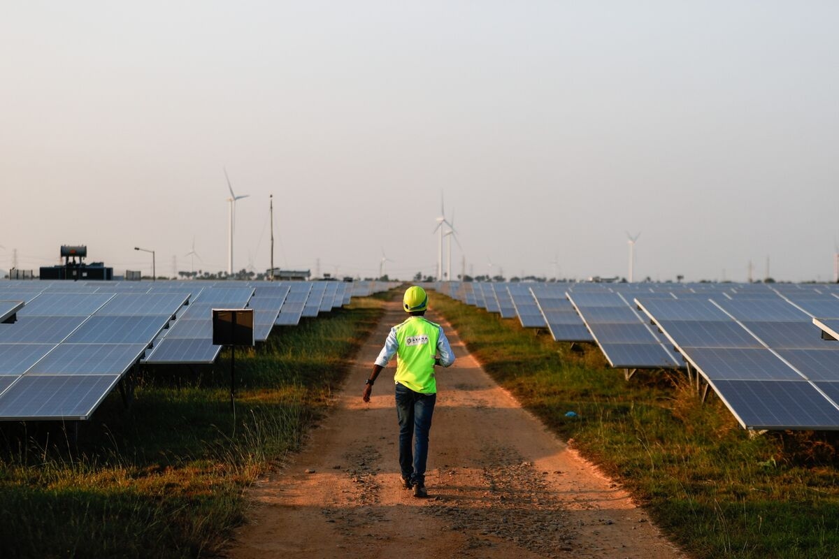 India Becomes Rare Hub for Green IPOs With $4 Billion of Deals