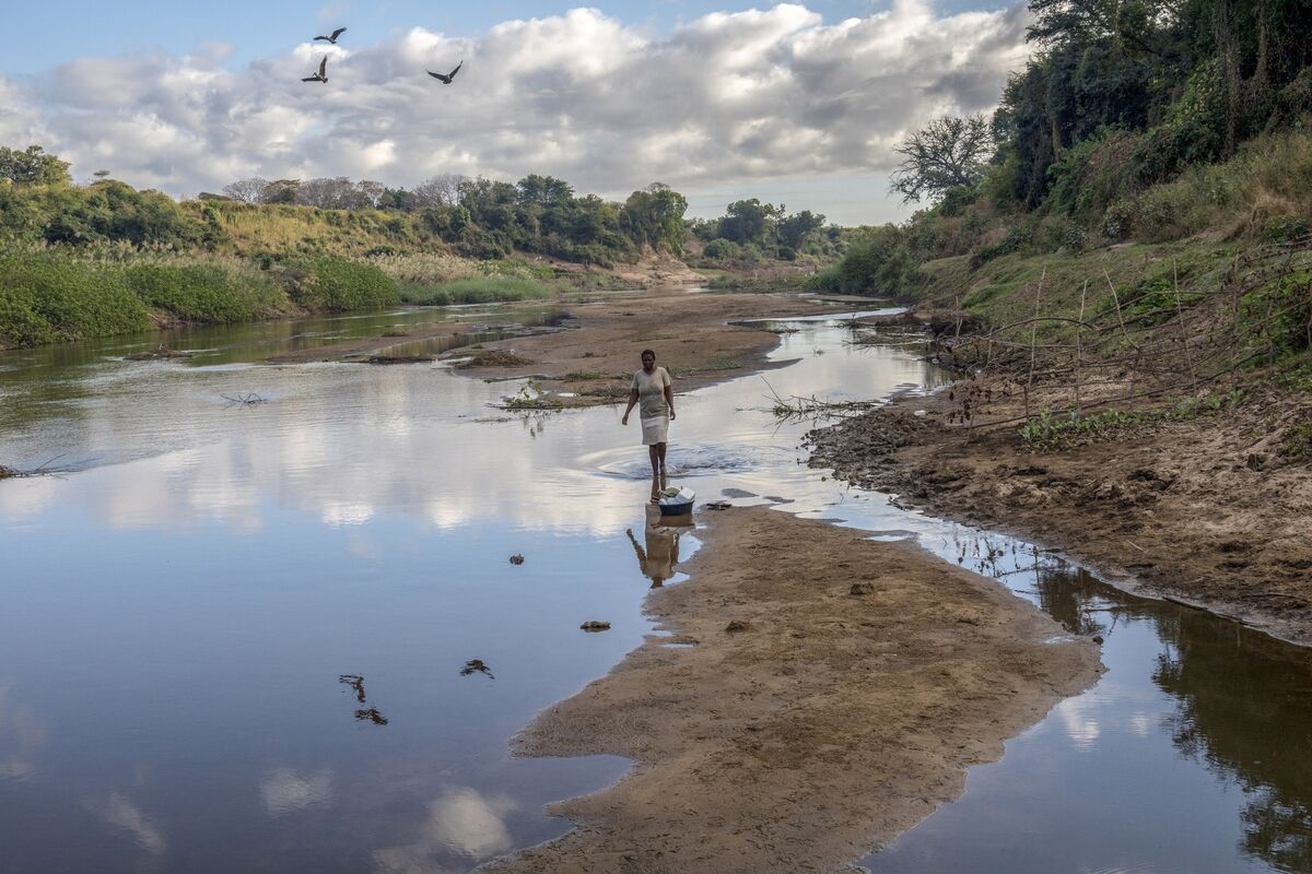 Zimbabwe Sets Up Carbon Markets Watchdog to Govern Trading Activity