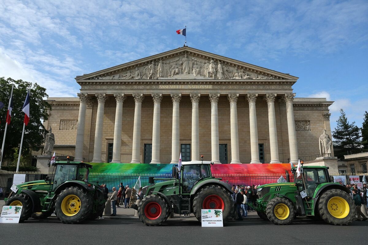 French Top Court Invalidates Pesticide Law Amid Public Outcry