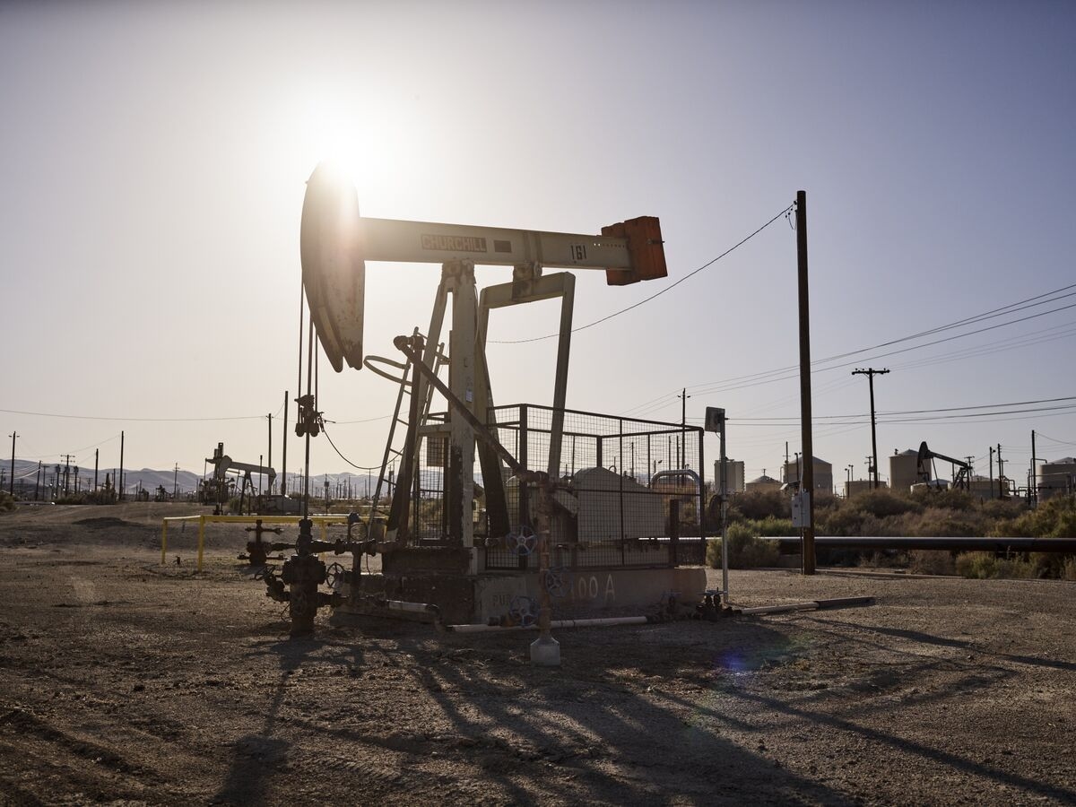 Oil-Eating Microbes Offer Tantalizing Clean Hydrogen Solution