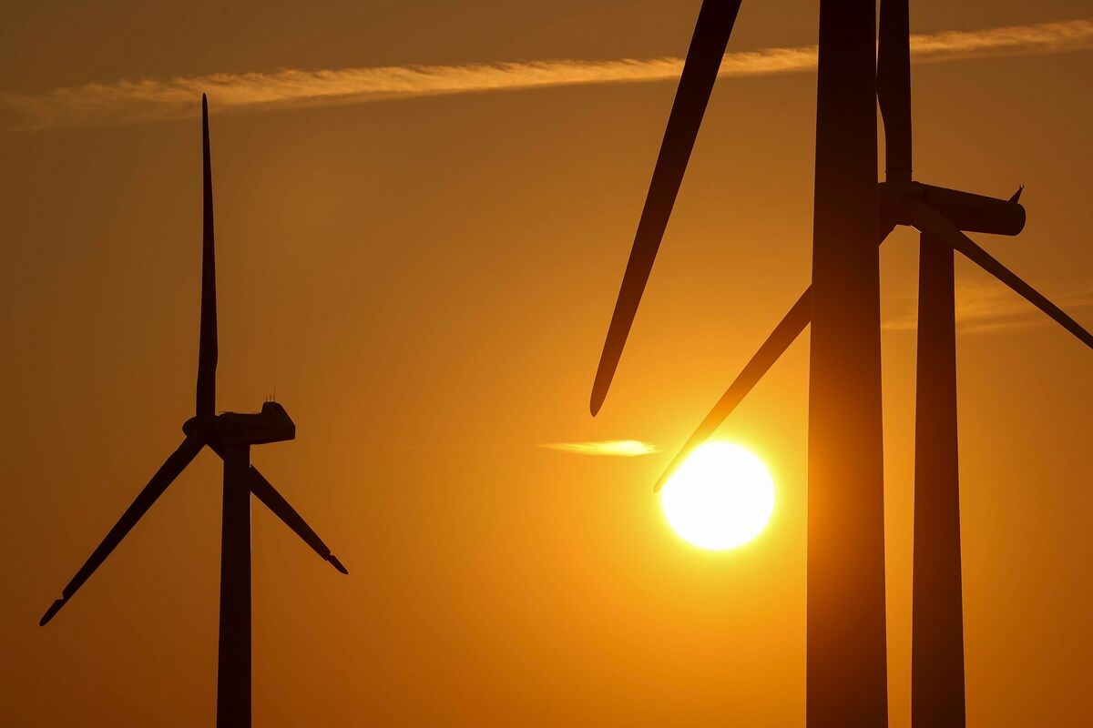Japan, Germany Step Up on Indonesia Climate Deal as US Exits