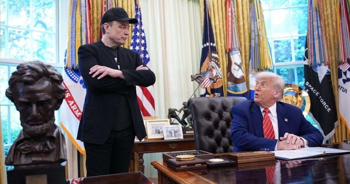 Musk on Departing DOGE: 'This Is Not the End'