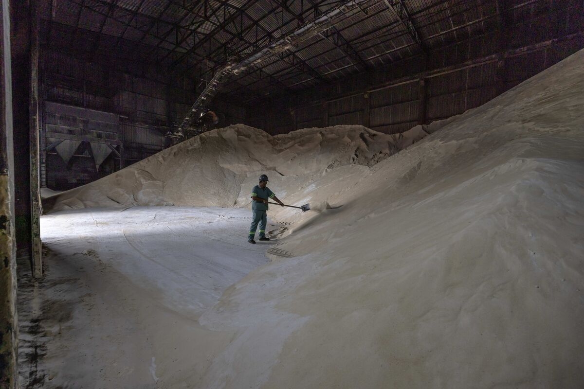 Brazil's Top Sugar Maker Raizen to Sell Assets, Trim Investments