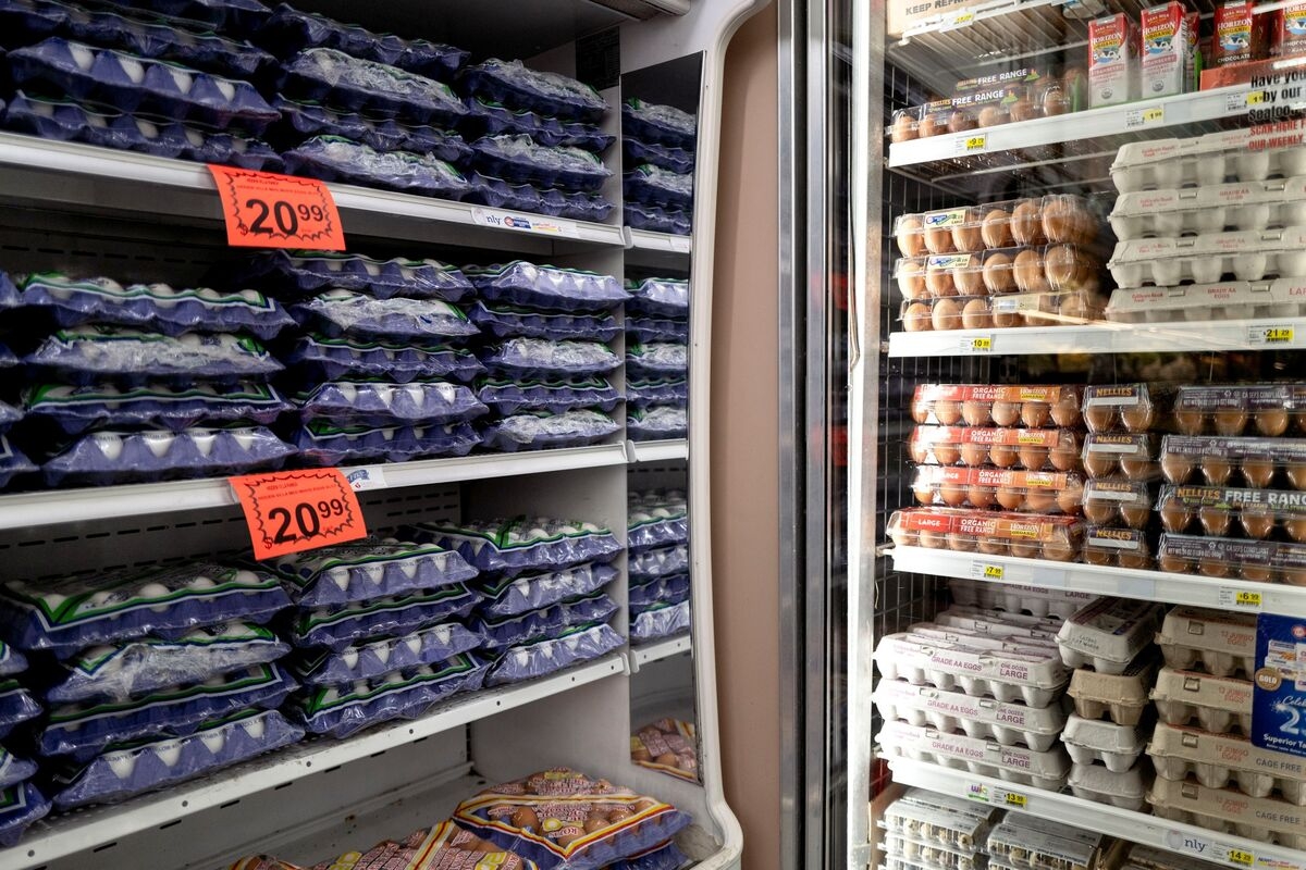 Egg Prices Drop 11% to Lowest Since December on Weak Demand