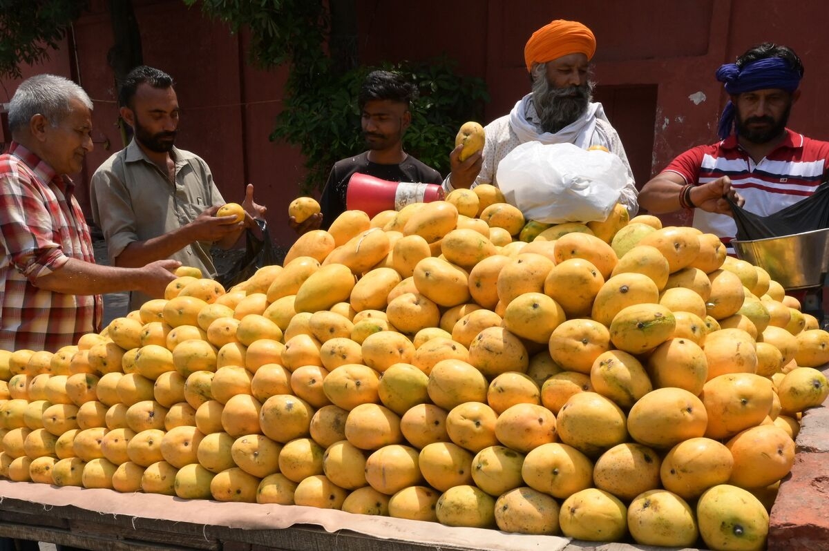 Follow the Mango, Not the Money