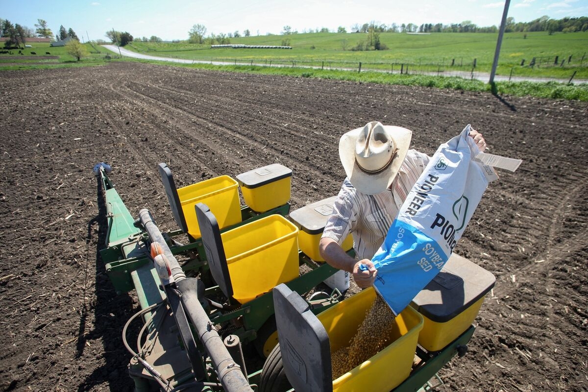 USDA to Review Reports Following Delay of Latest Trade Outlook