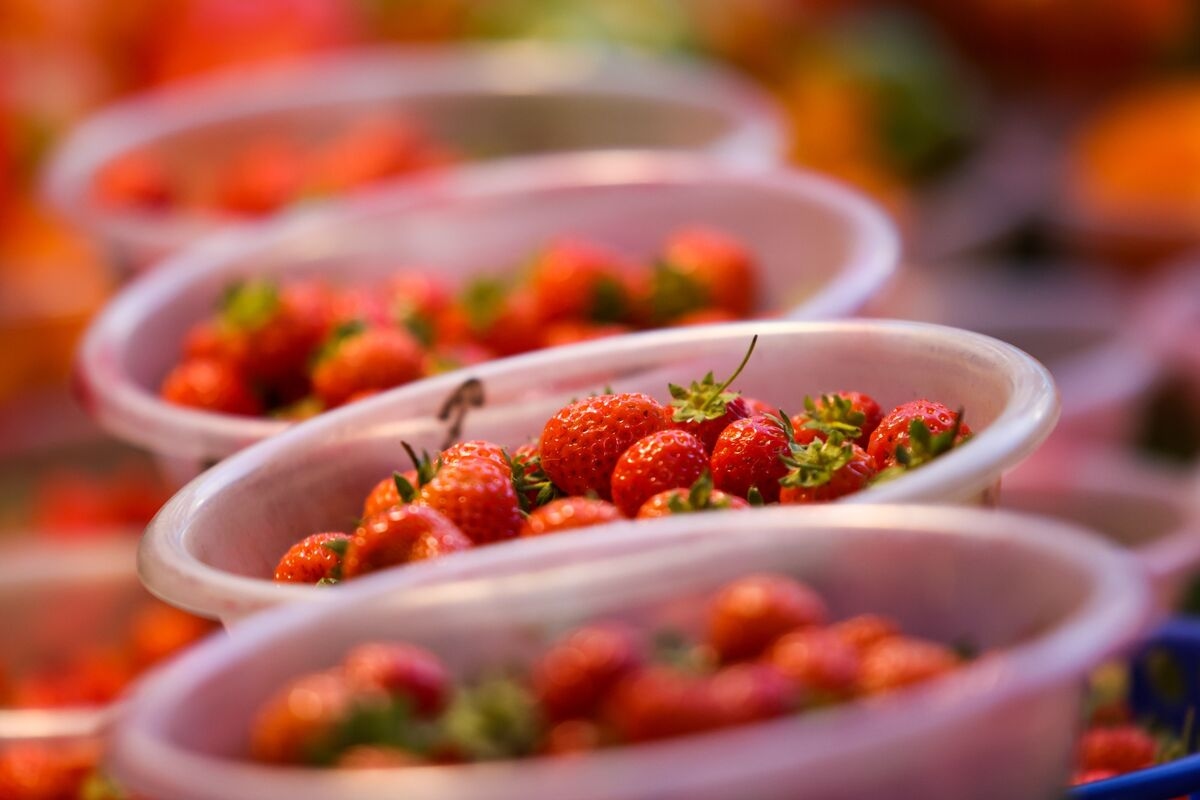 Climate Change Brings Parched Wheat and Large Berries to the UK