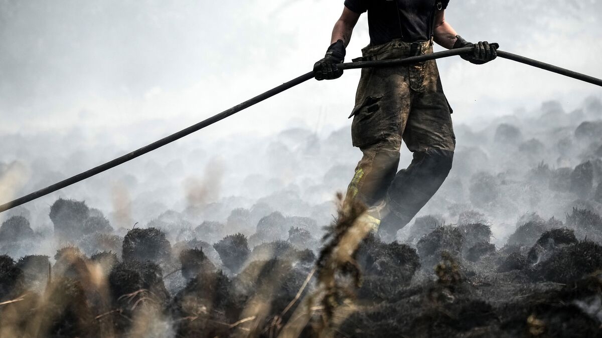 Ireland and UK Face High Wildfire Risks After Dry, Warm Weather