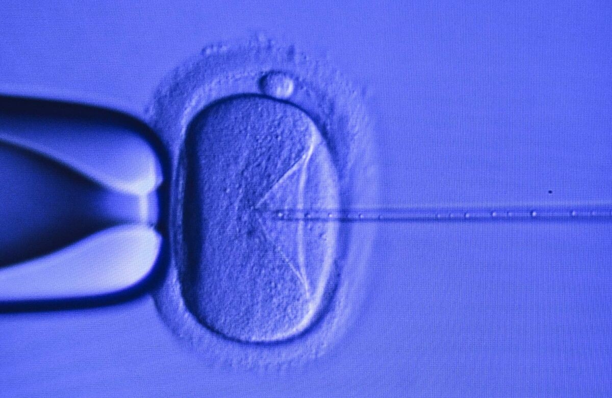 'Superbabies' Startup Seeks Funds for Controversial Gene Editing Push