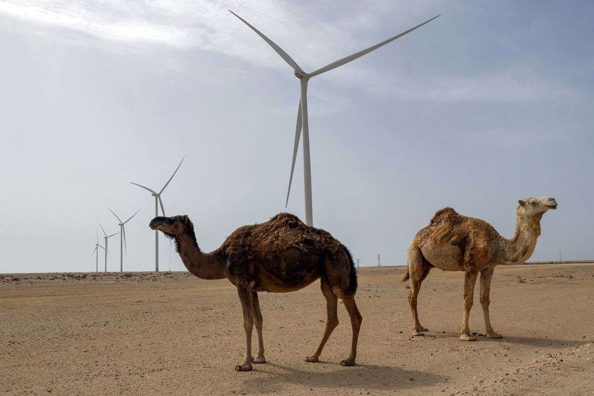 UK Joins US, France in Backing Moroccan Plans for Western Sahara