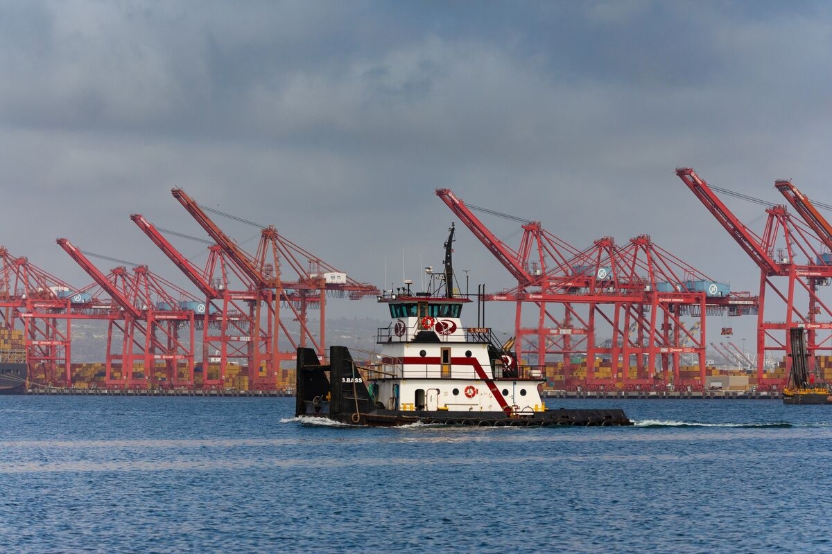 Trump's Tariffs Are Dragging Down Global Growth, OECD Warns