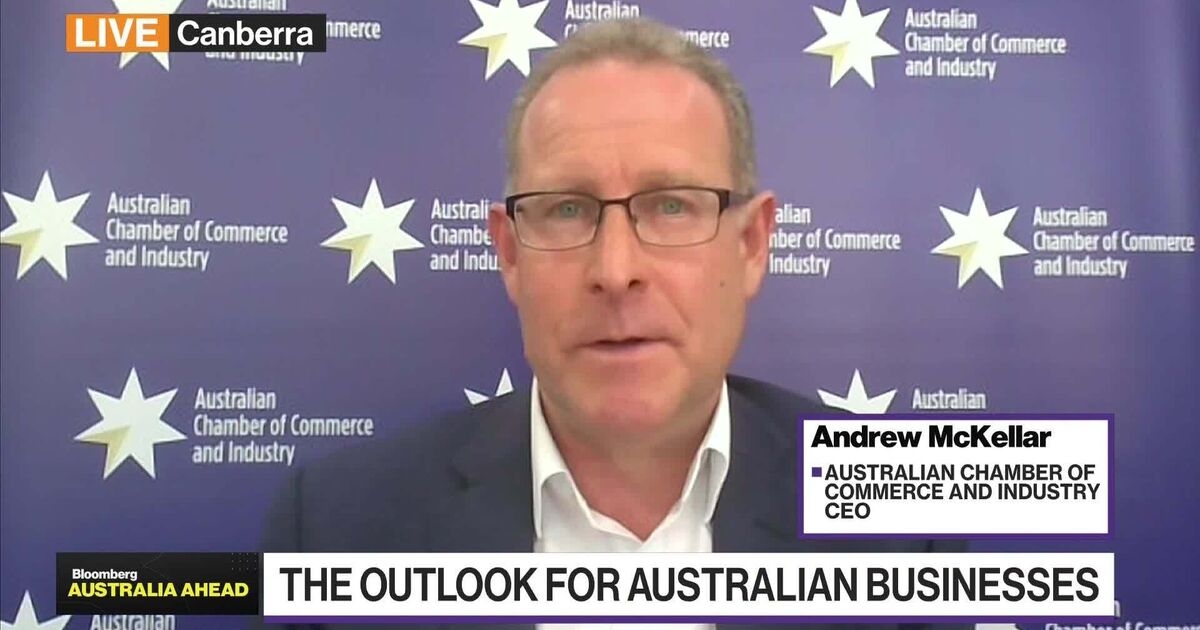 What Albanese's Win Means for Australian Businesses