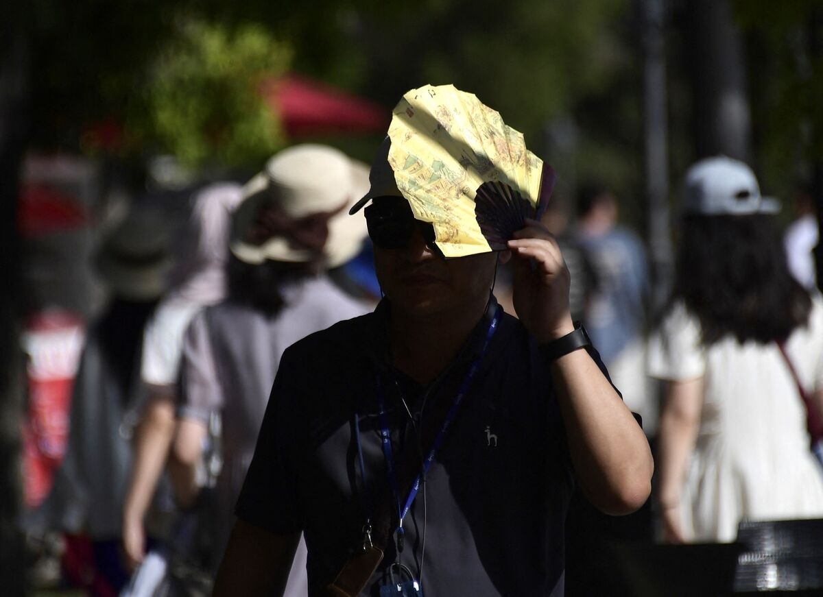 Heat Wave Threatens European Crops and Power Systems