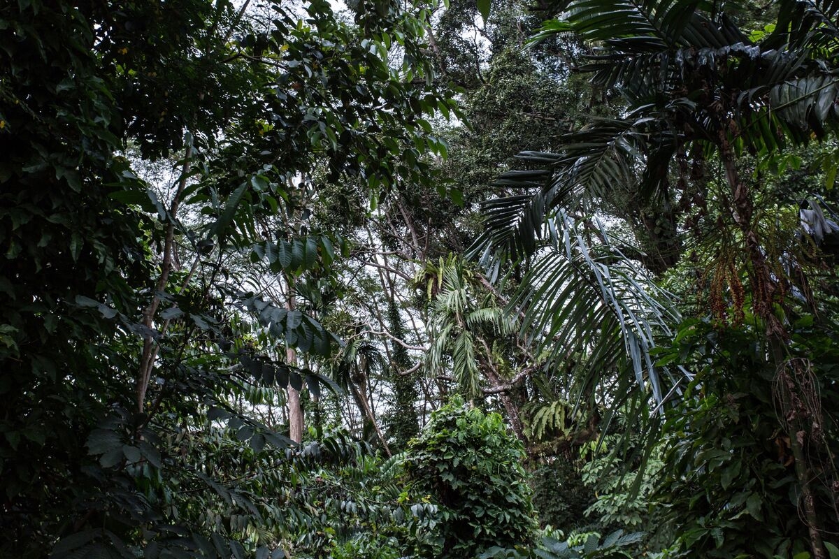 The Story Behind Singapore's Ultra-Valuable Land Swap