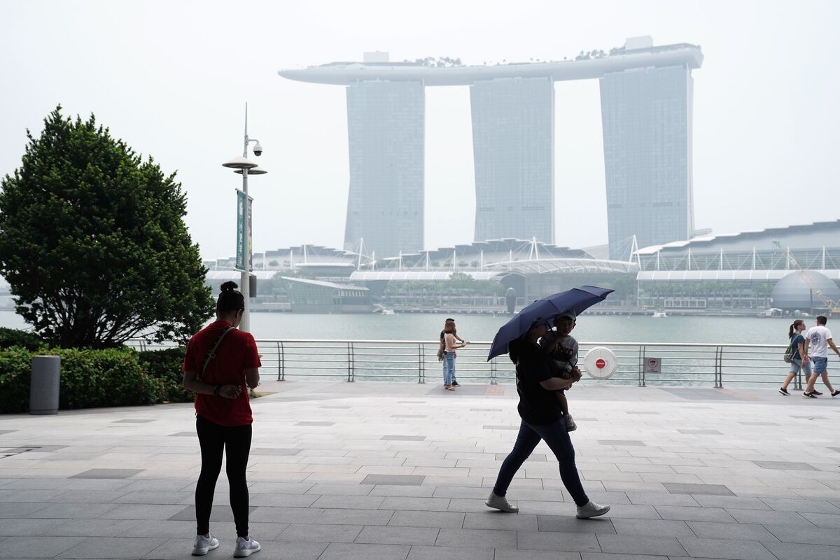 Singapore Firms Need Better Climate Reporting as New Rules Loom