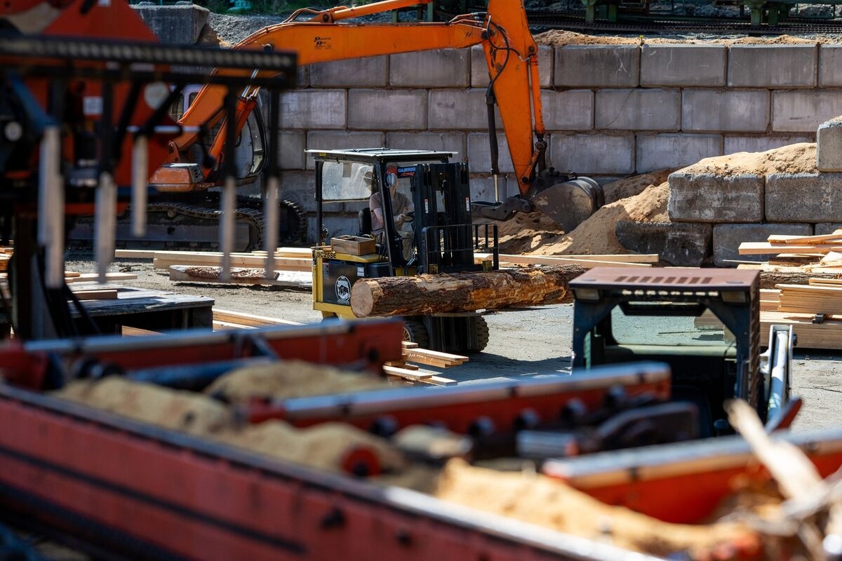 Carney Pledges $870 Million for Lumber Sector Targeted by Trump