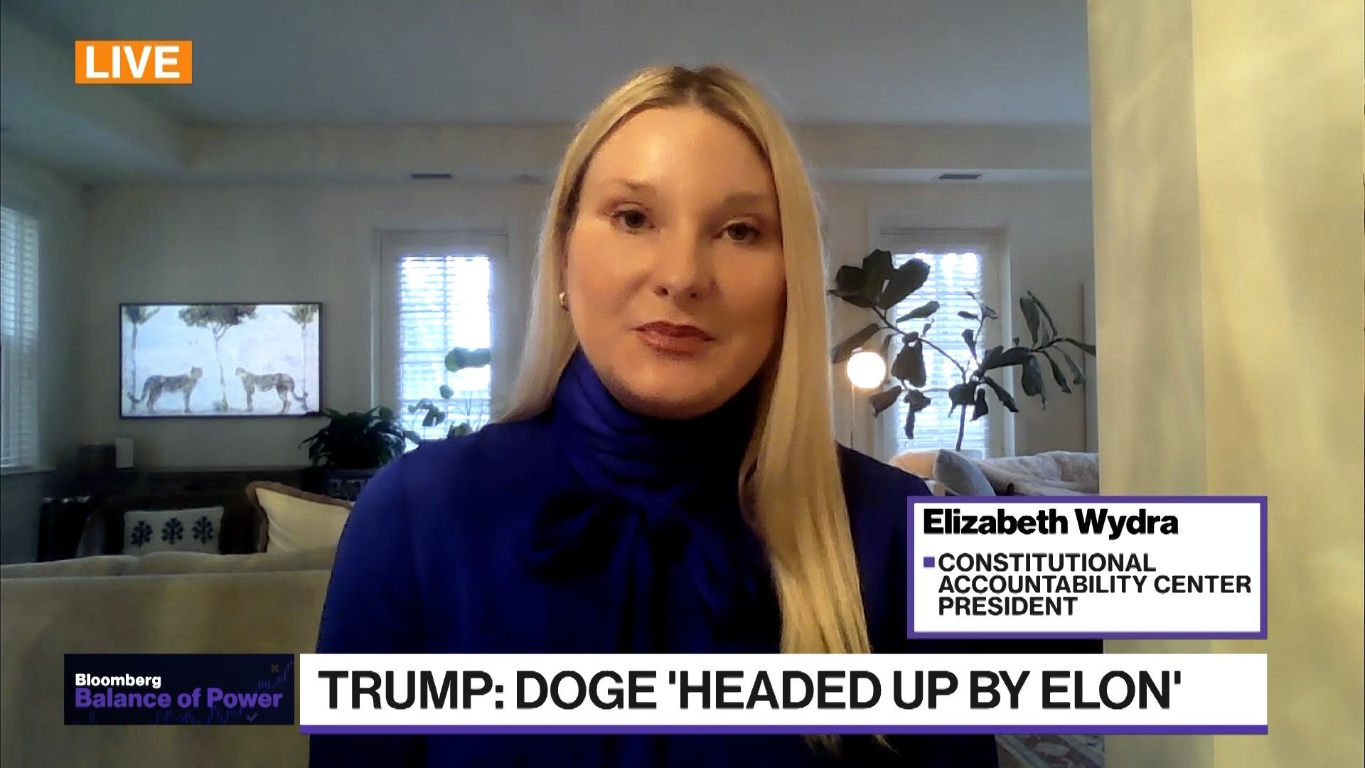 Could Trump Saying Musk Heads DOGE Create Legal Issue?