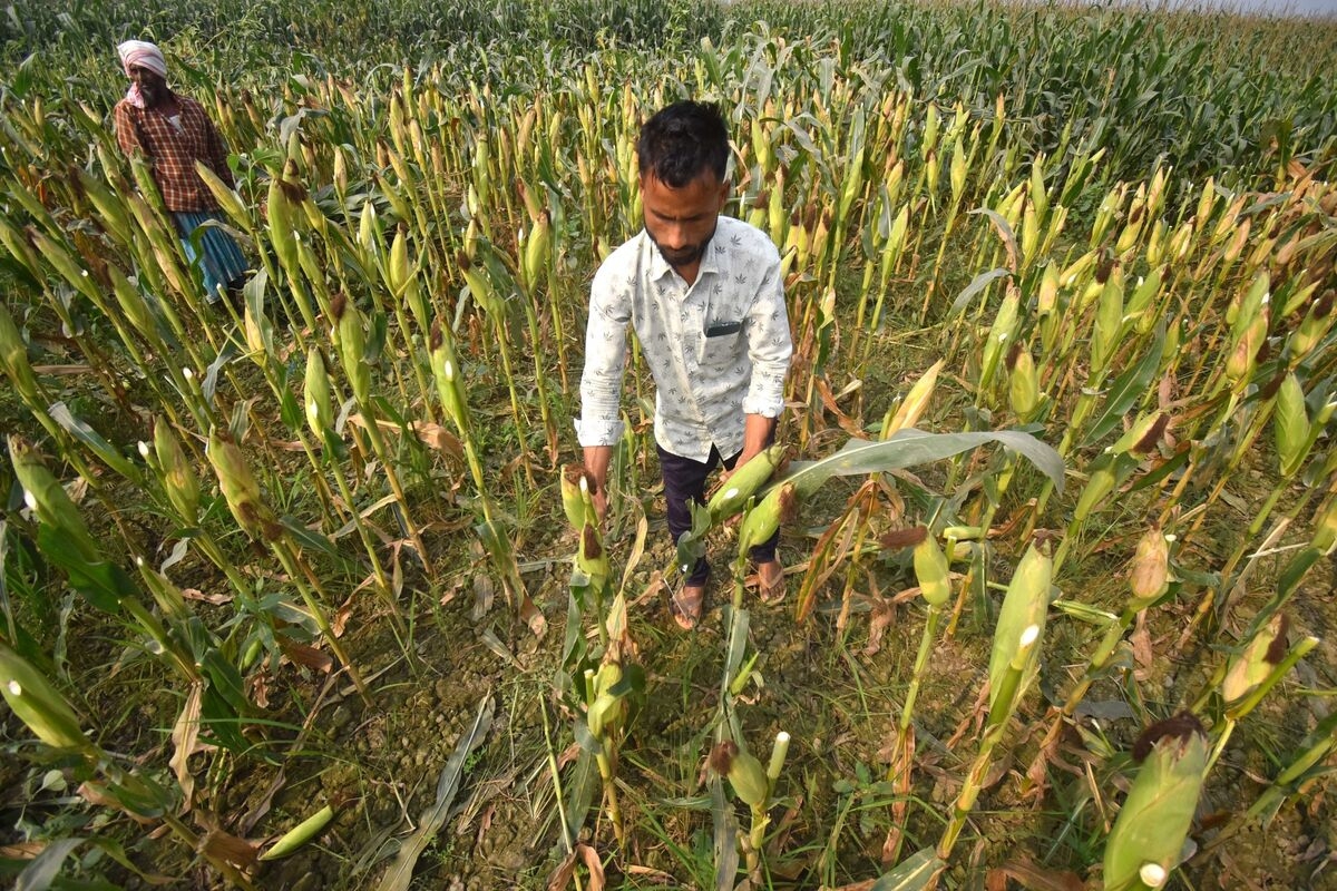 Modi Must Hold the Line on Food and Fuel Trade
