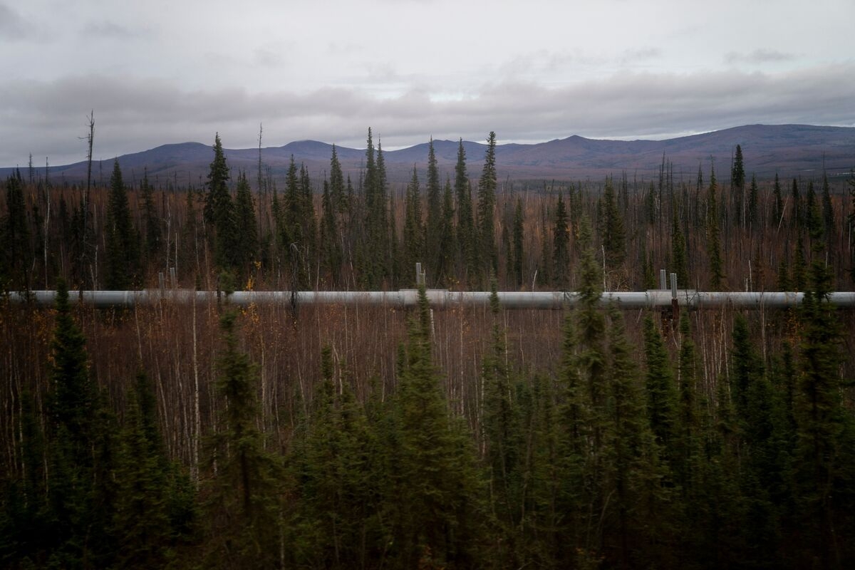 Trump Officials Set for Talks With Asia Leaders on Alaska Energy