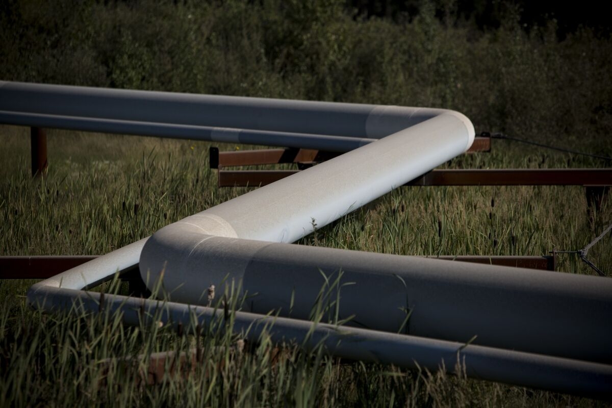 Cenovus CEO Downplays Chance of MEG Bid Amid Organic Growth Push