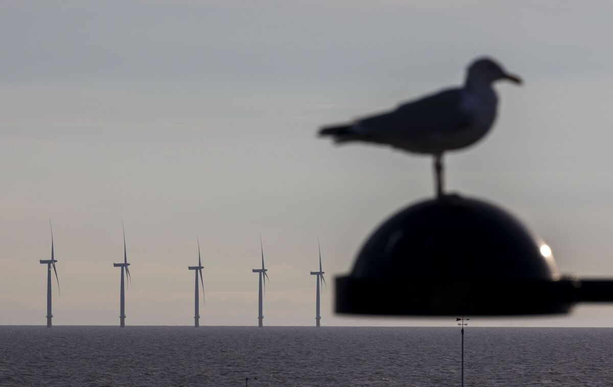Permit for Offshore Wind Farm Voided After Trump Opposed Project
