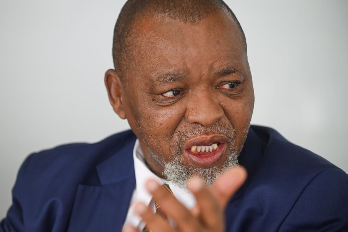 South African Minister and Top Miner Clash Over US Minerals Plan