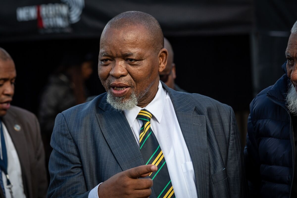 South African President Names Mantashe Acting Police Minister