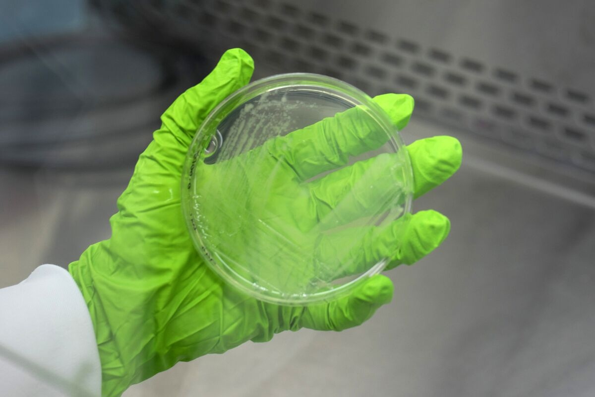 A Nasal Gel to Help Fight Superbugs Stays in Limbo